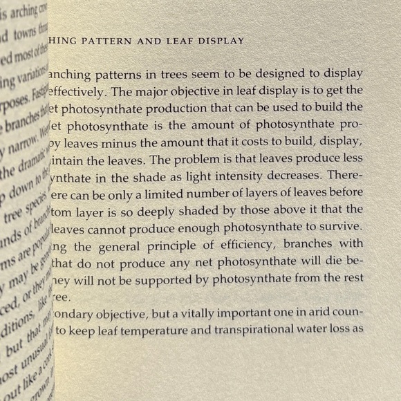 1984 The Growing Tree Forestry Student Tree Arborist Woods Forest Biology Nature - Picture 3 of 8